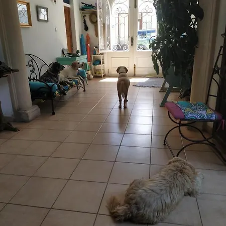 Bellavista Maison d'hôtes Port de Pollença