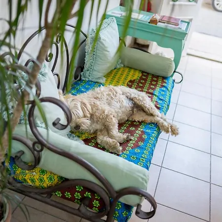 Bellavista 3* Port de Pollenca