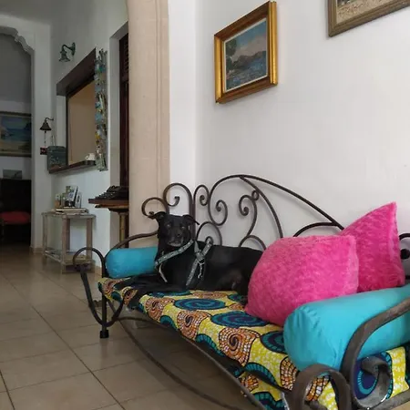 Guest house Bellavista 3*