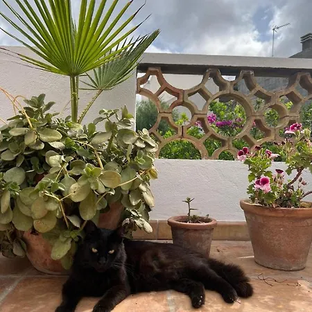 Guest house Bellavista 3*