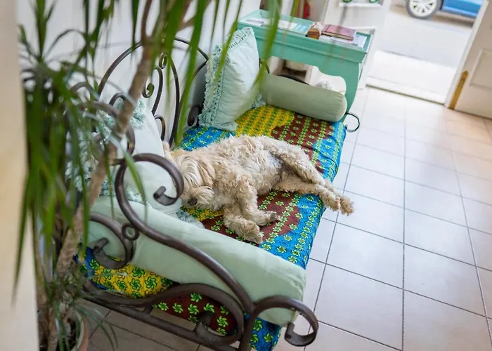 Bellavista 3* Port de Pollença