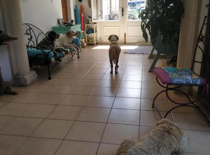 Bellavista Pensionat Port de Pollença