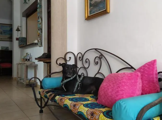 Pensionat Bellavista 3*