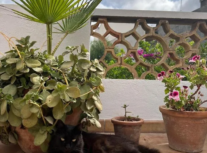 Pensionat Bellavista 3*